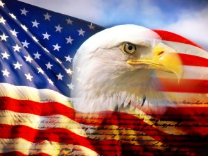 bald_eagle_head_and_american_flag Expert Genealogy Research - American Ancestors