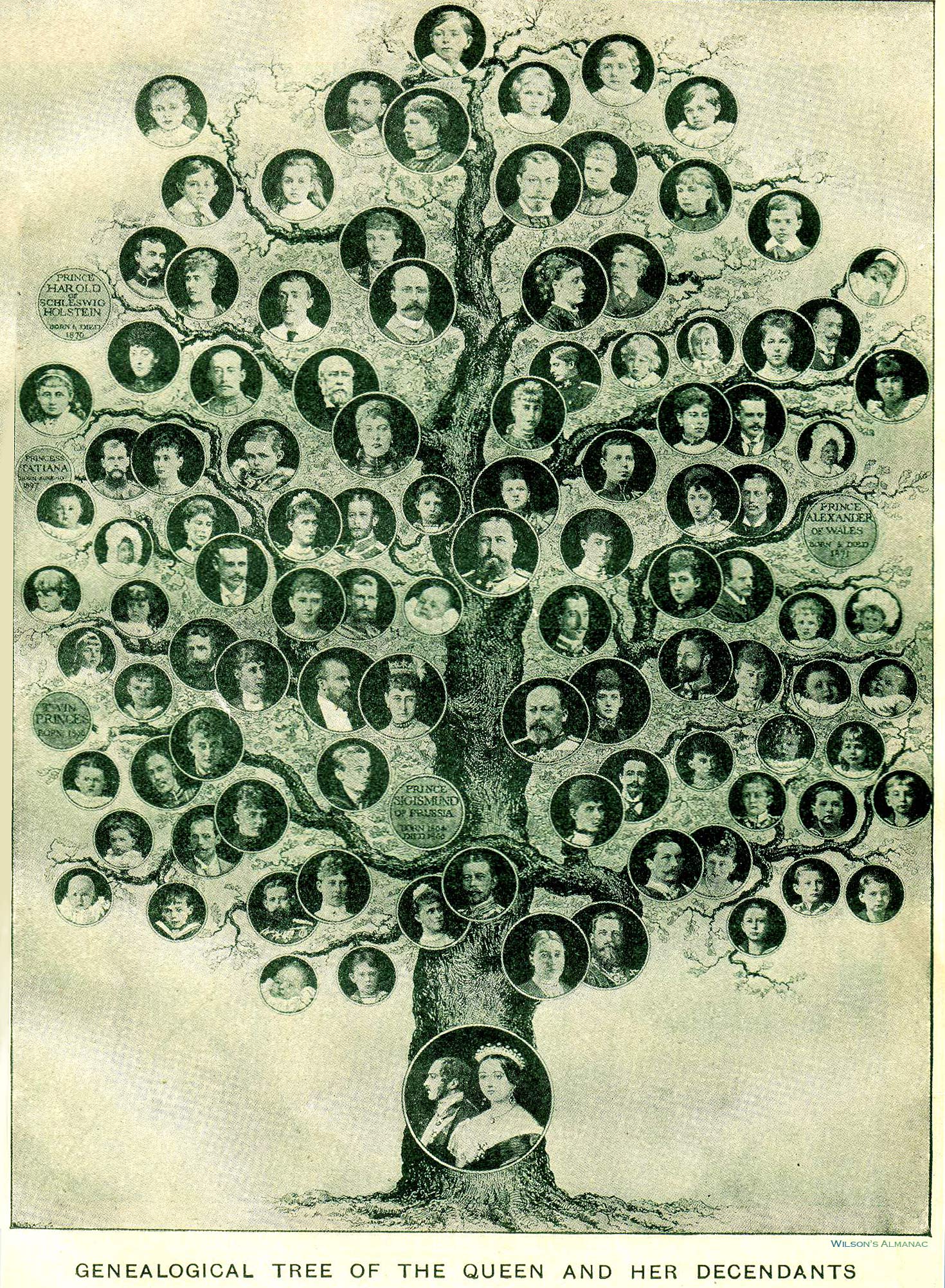 A Family Tree